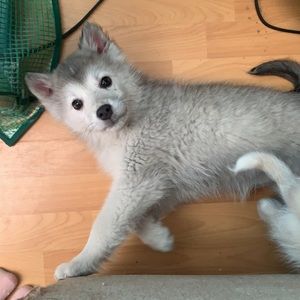 Meet your Posher, Tia